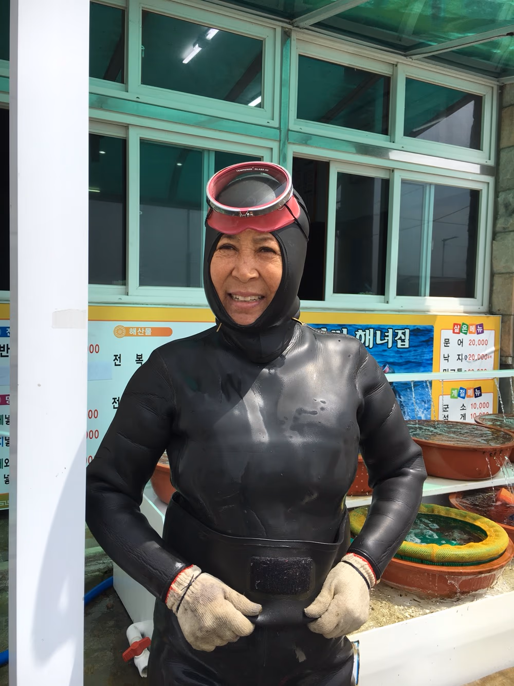 장씨해녀집 51년 현직 해녀 어머니 — 매일 새벽 식재료 검수 (AI 생성 일러스트)