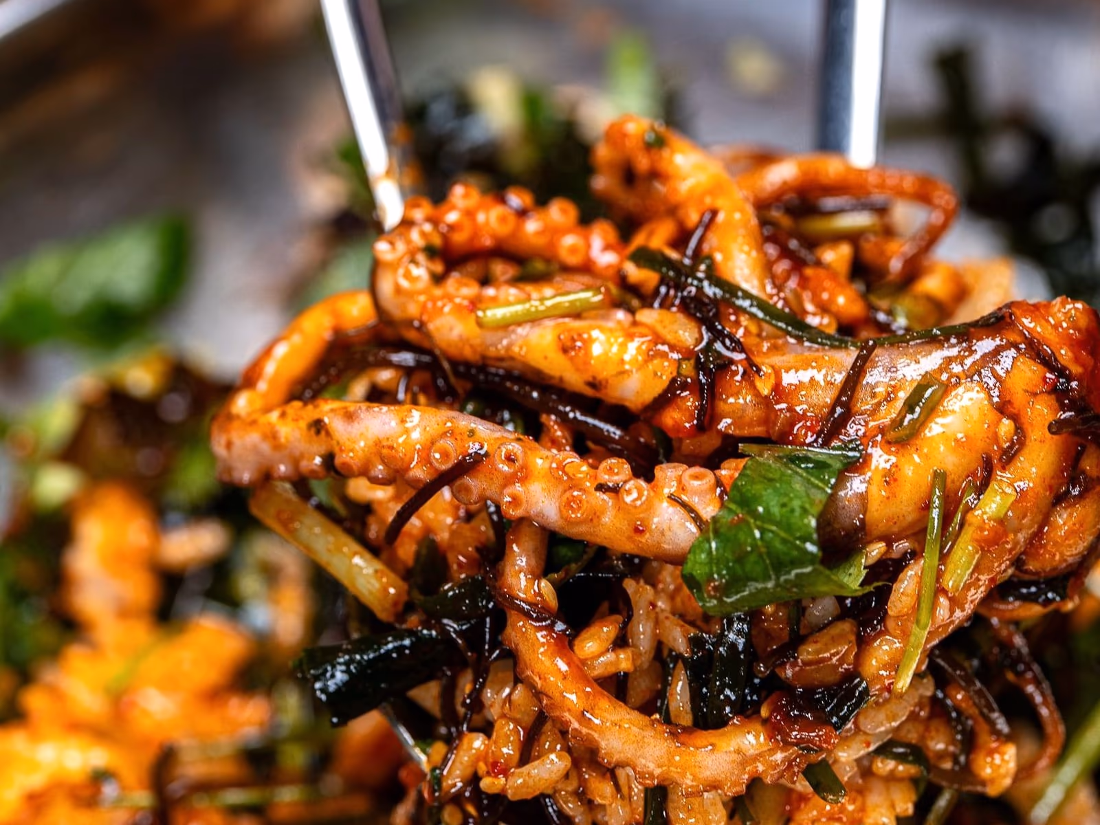 장씨해녀집 해녀밥 세트 ₩35,000, 해초비빔밥(해초·낙지·꼬막)과 손칼국수 한 끼