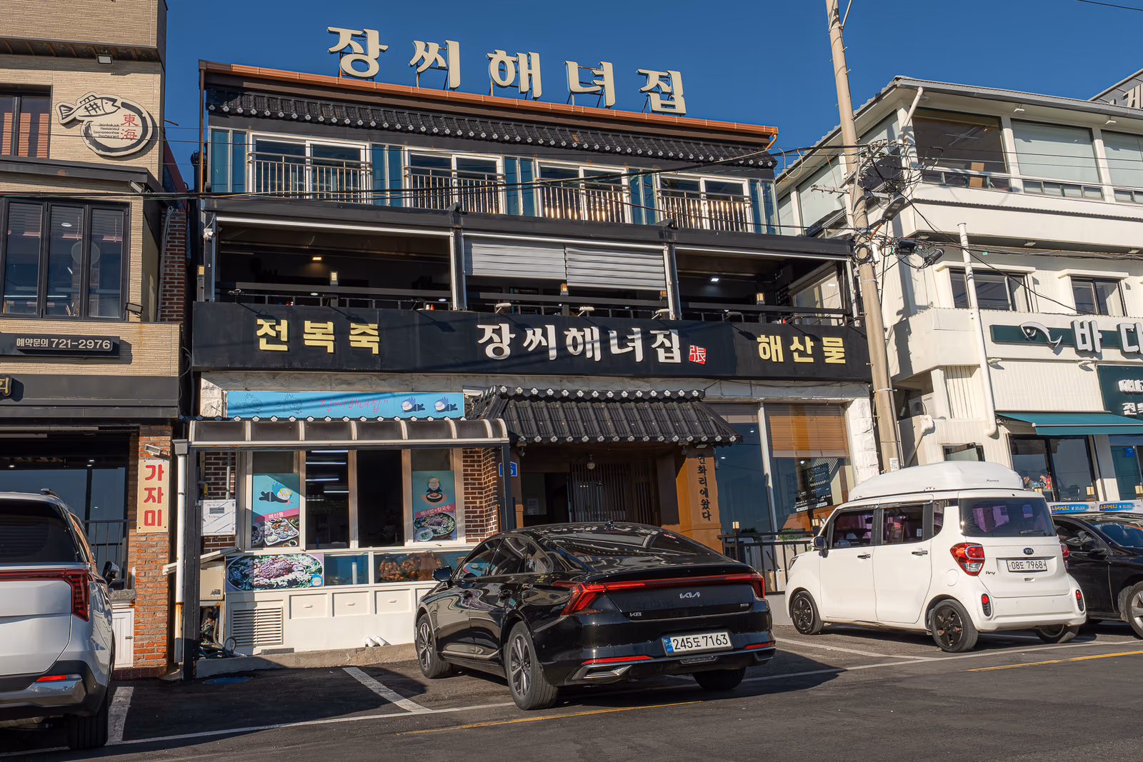기장 연화리 해안 밀치(가숭어)가 자라는 한국 동남해안